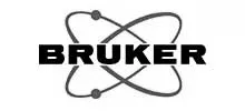 Bruker